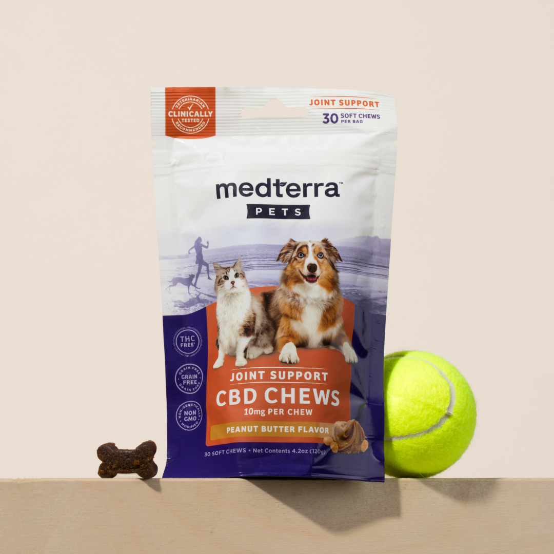 A packet of Medterra Pet CBD Joint Support Chews, enriched with glucosamine for your pet's joint health, is displayed upright on a beige surface. The packaging features a dog and cat and highlights the peanut butter flavor. Beside it, there is a tennis ball and a small bone-shaped treat.