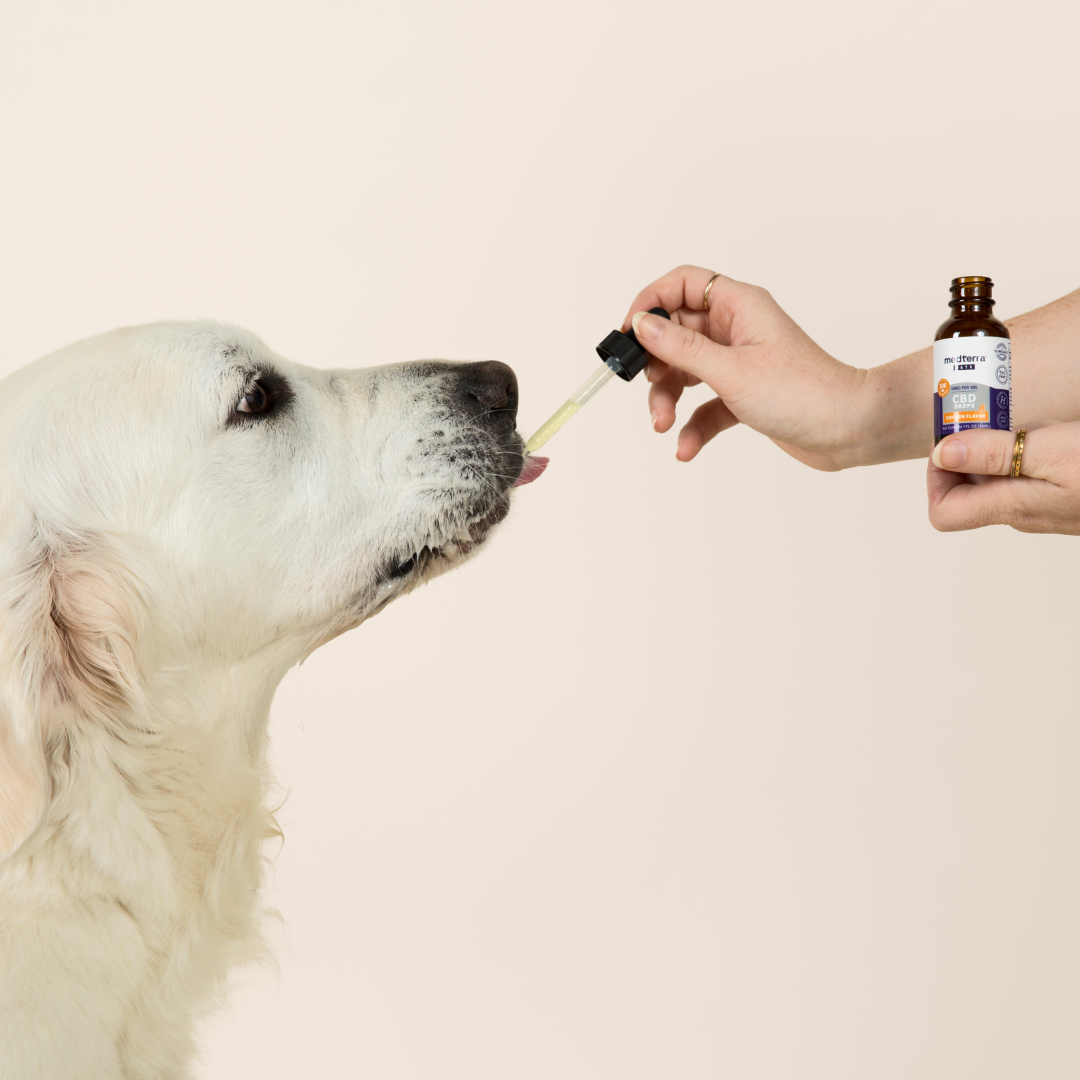 Pet CBD Drops