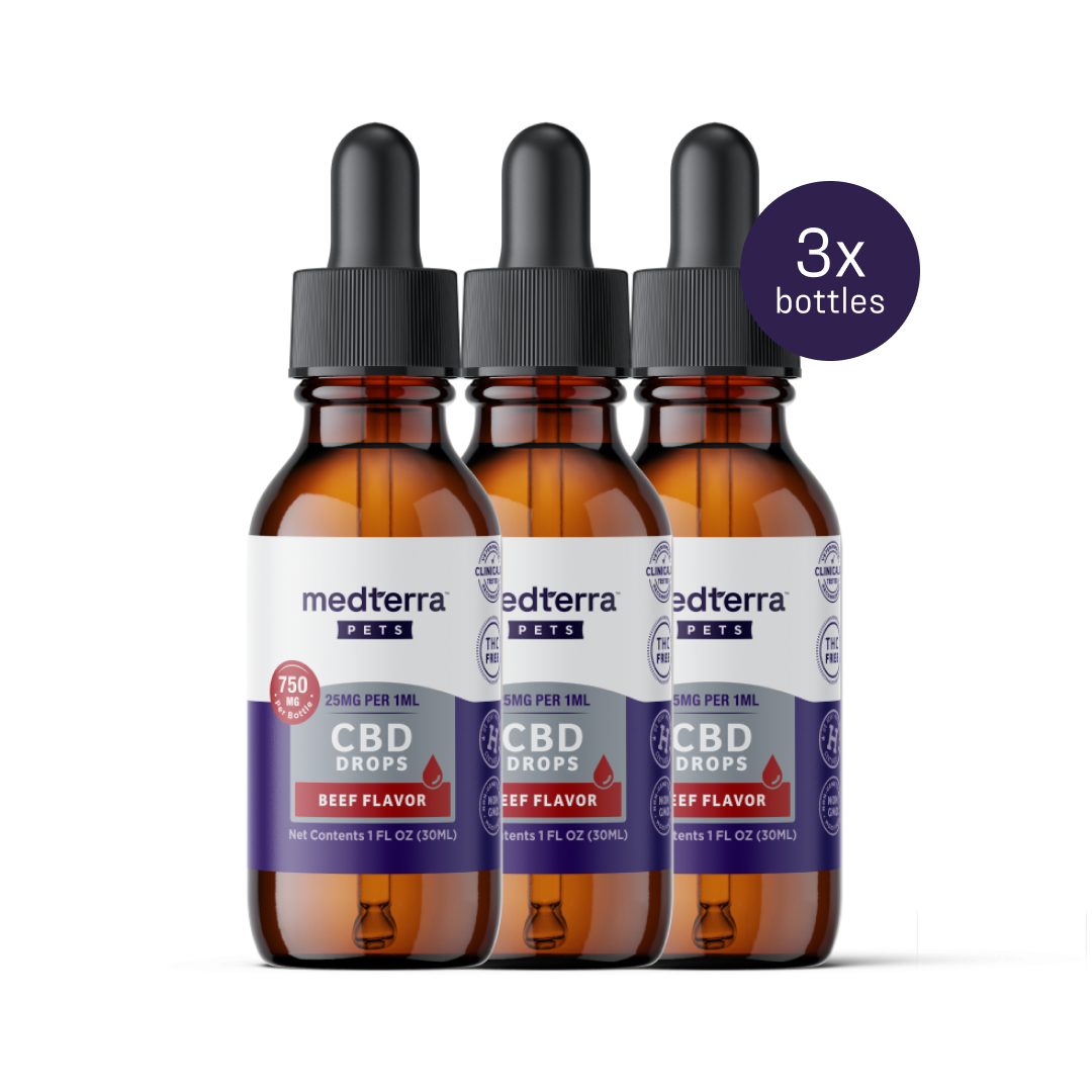 Three 30 mL amber glass bottles of Medterra's Pet CBD Drops in beef flavor, each with a dropper. Ideal for joint health and general wellness, labeled with CBD concentration. This value bundle includes three bottles.