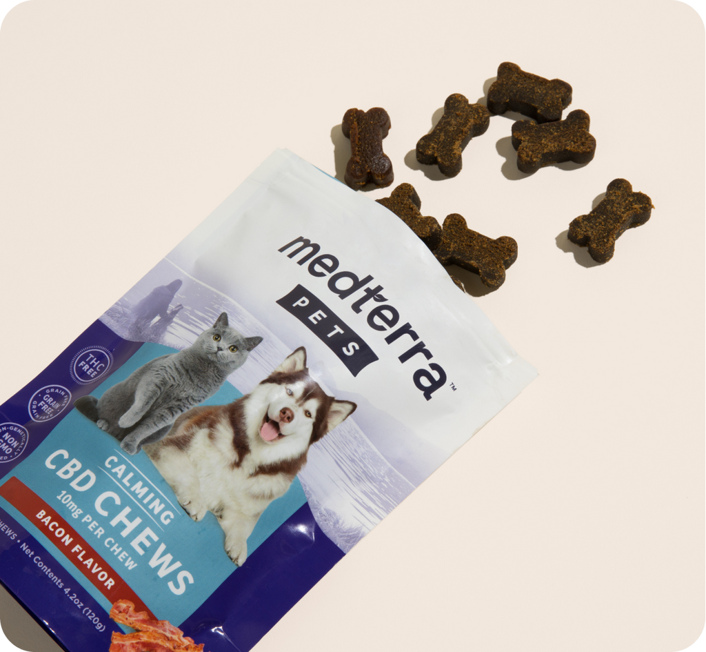 A partially open package of Medterra Pets Calming CBD Chews, bacon flavor, reveals bone-shaped treats spilling out. The packaging showcases images of a cat and dog, with text noting 10mg of CBD per chew. Perfect for pet calming products enthusiasts, these chews are available with nationwide shipping.