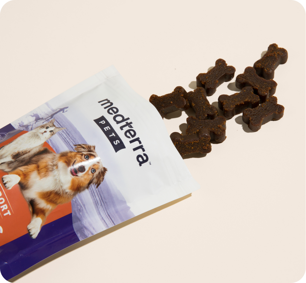 A bag of Medterra Pets treats is shown with several bone-shaped treats scattered beside it. The bag features images of a dog and a cat and is labeled "Support." These CBD chews for pets are designed to promote joint health. The background is a light, neutral color.