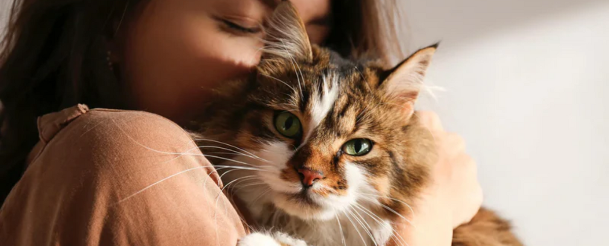 A woman hugging a cat, illustrating pet separation anxiety.