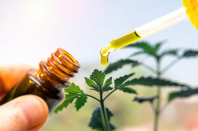 What's the Deal with Adaptogens & CBD?