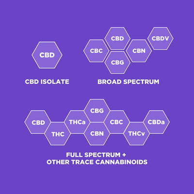 What are Terpenes & The Entourage Effect?