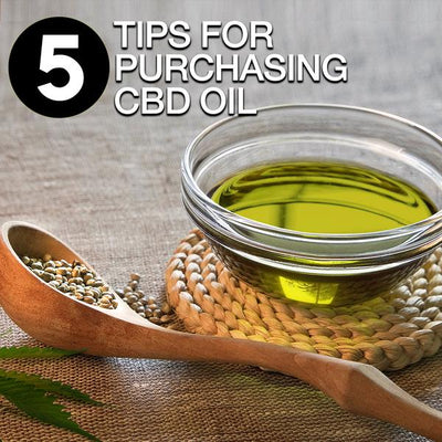 5 Tips for Purchasing Cannabidiol Oil (CBD)