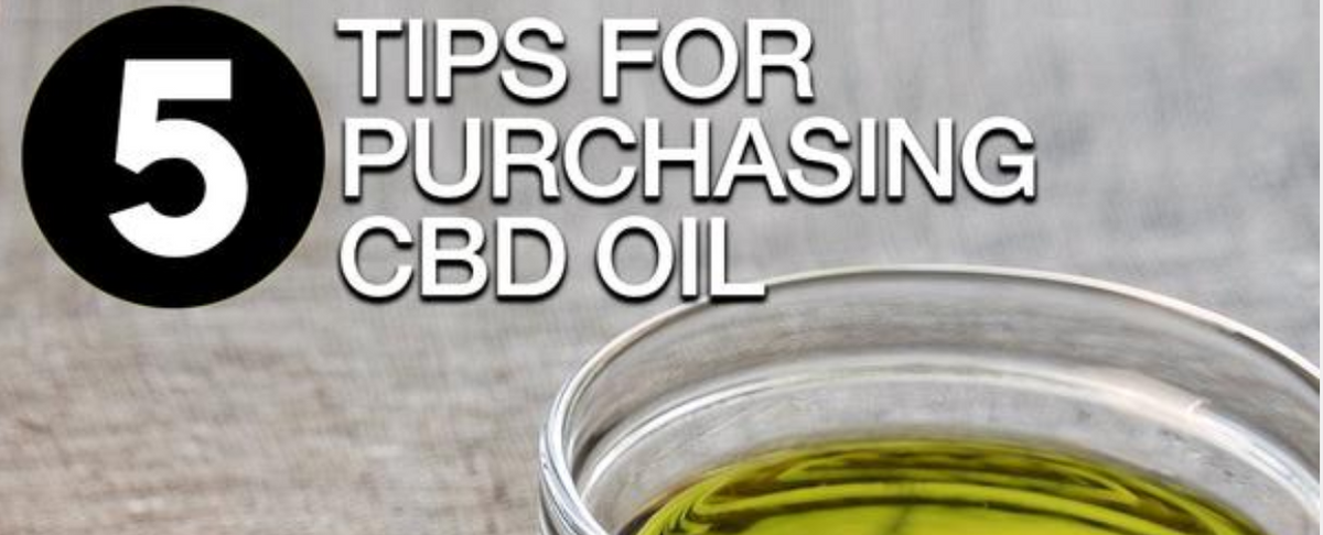 5 Tips for Purchasing Cannabidiol Oil (CBD)