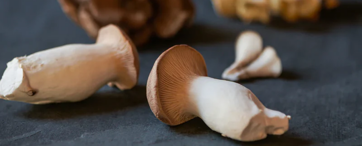 Mushrooms to support brain function