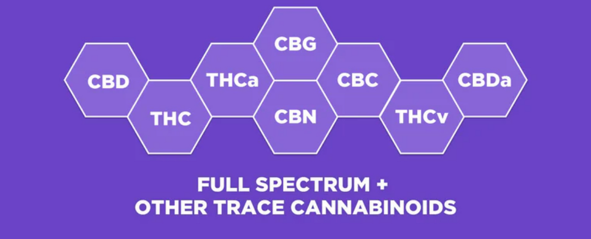 What are Terpenes & The Entourage Effect?