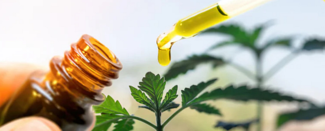 Benefits of Hemp Oil