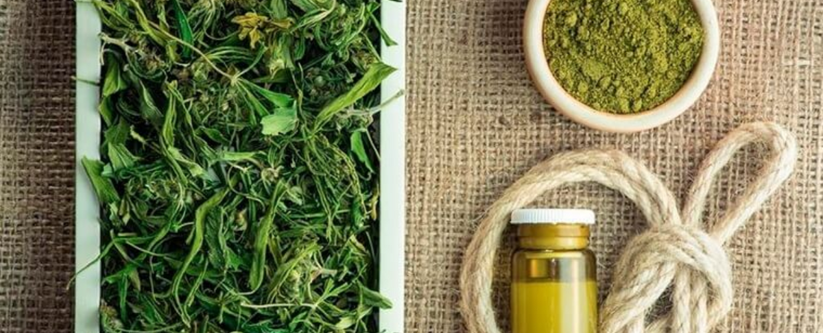 9 Fun Facts About Hemp - Medterra CBD News & Guides