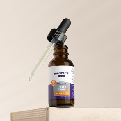 A bottle of Medterra Pet CBD Drops with natural beef and chicken flavorings is placed on the edge of a wooden plank. The bottle has a dropper, filled with the liquid and resting against it. The label indicates 1000 mg per ml, providing 300 servings made with organic ingredients.