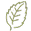 Green stylized leaf icon, single-leaf logo