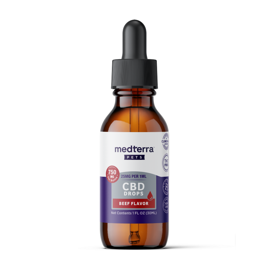 A brown glass dropper bottle labeled "Medterra Pet CBD Drops" stands upright on a white background. The white and purple label with pet icons highlights these drops for pets, emphasizing Medterra's commitment to pet wellness.