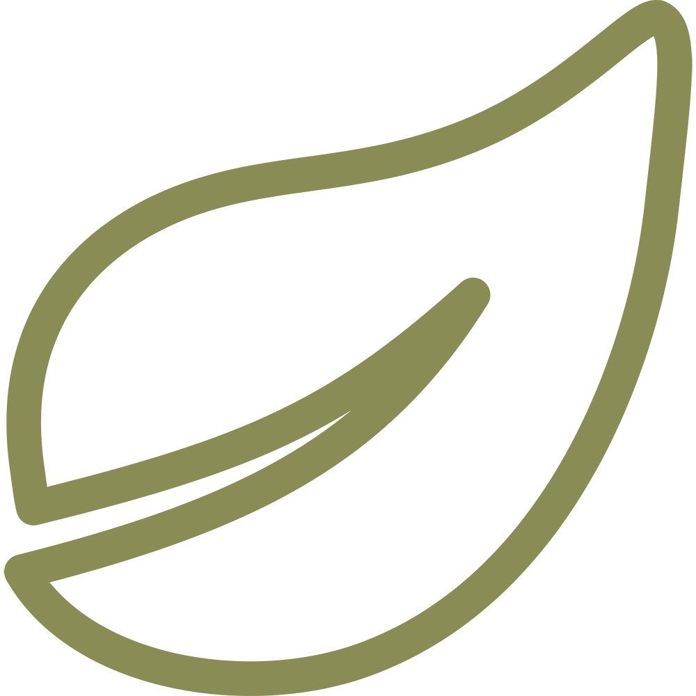 Ingredient Badge - A simple, minimalist outline of a leaf in olive green, with a smooth, curved shape and a single vein running through its center.