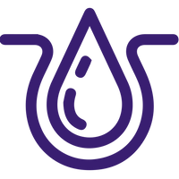 A purple line drawing features a central drop shape with a contour resembling water droplets inside. The drop is embraced by a curved structure, outlining a vessel or a stylized heart. The overall shape resembles a seed or a germinated plant.