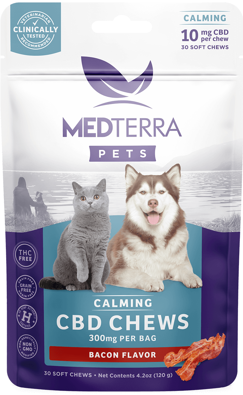 A white and purple package of Medterra [Free] Best Seller Pets Calming CBD Chews. The front of the package features images of a gray cat and a brown and white dog. It states "10 mg per chew," "300 mg per bag," and "Bacon Flavor." Contains 30 soft chews, net weight 4.2 oz.