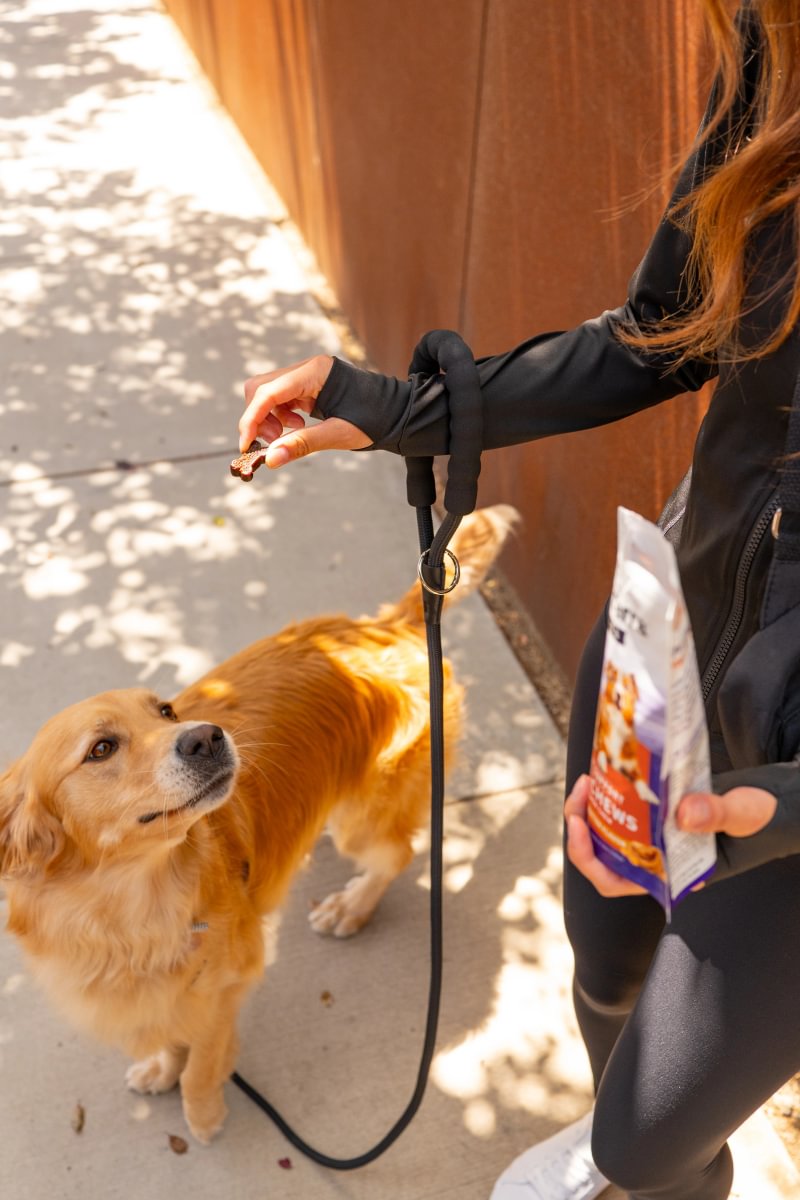 Woman giving her golden retriever a Medterra pet chew