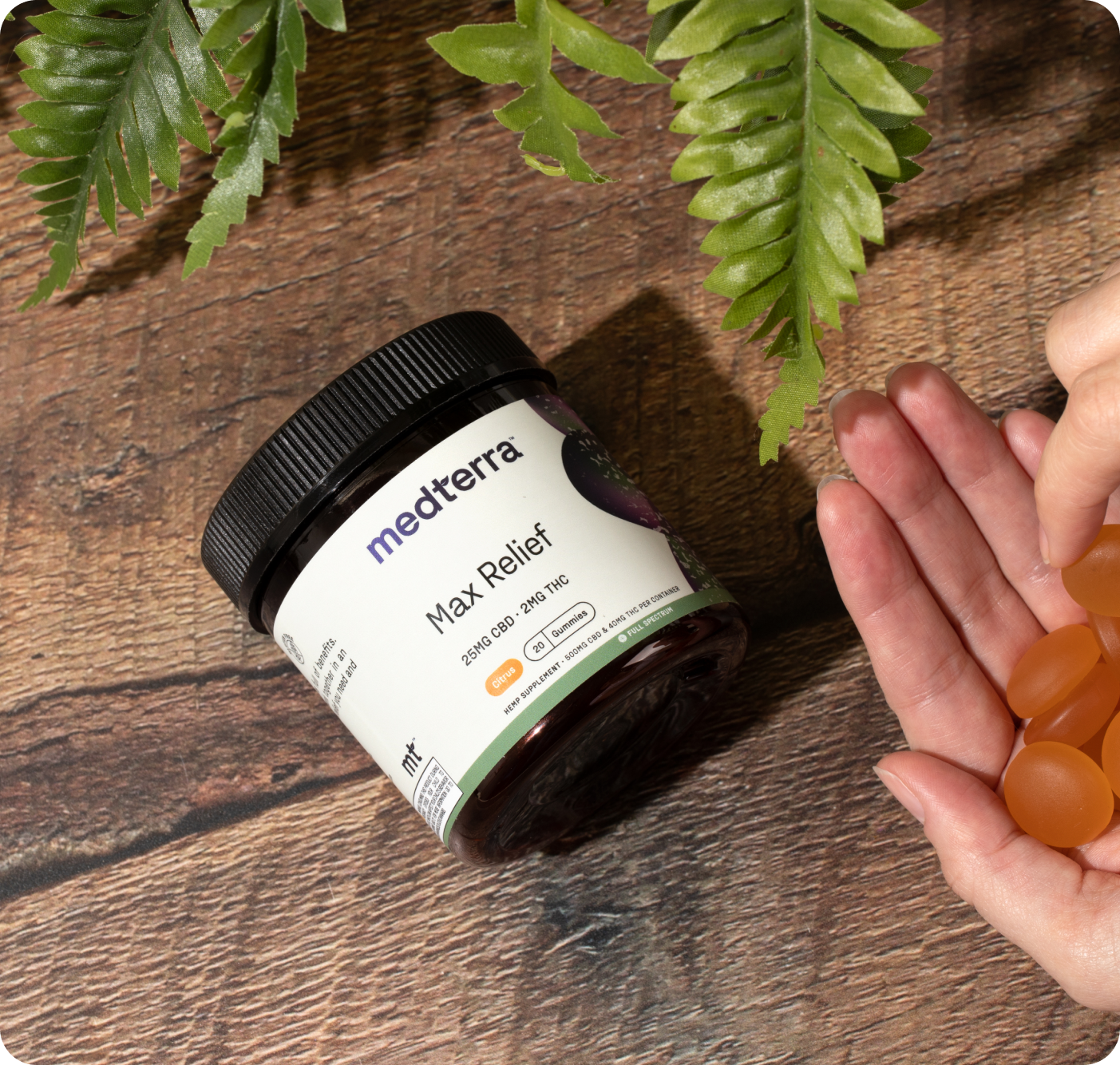 A jar labeled "Medterra Relief Bundle" sits on a wooden surface surrounded by leafy plants. A hand holds several orange gummies next to it, offering the taste of full-spectrum CBD-infused pain relief.